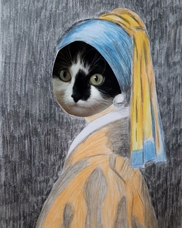 Rescue cat creatively integrated into art, imitating "Girl with a Pearl Earring."