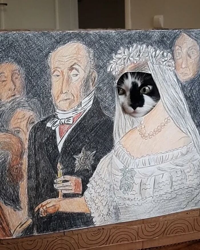 Rescue cat's face featured humorously in a historic art piece, blending pet and art together.