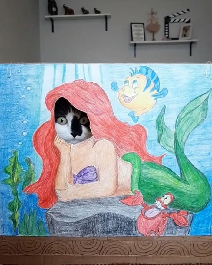 Rescue cat's face in mermaid art, creating a unique living art piece.