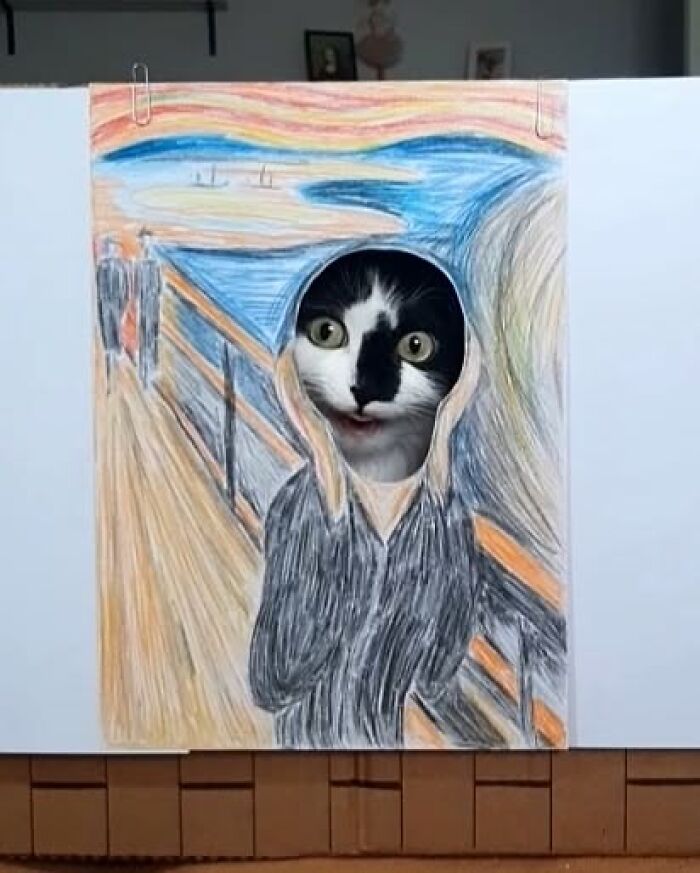 Rescue cat as living art, with its face in a "The Scream" style artwork, creating a playful scene.