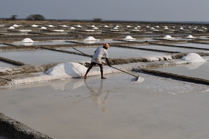 Worker in a salt flat raking crystallized salt, showcasing natural phenomena of salt formation in geometric patterns.