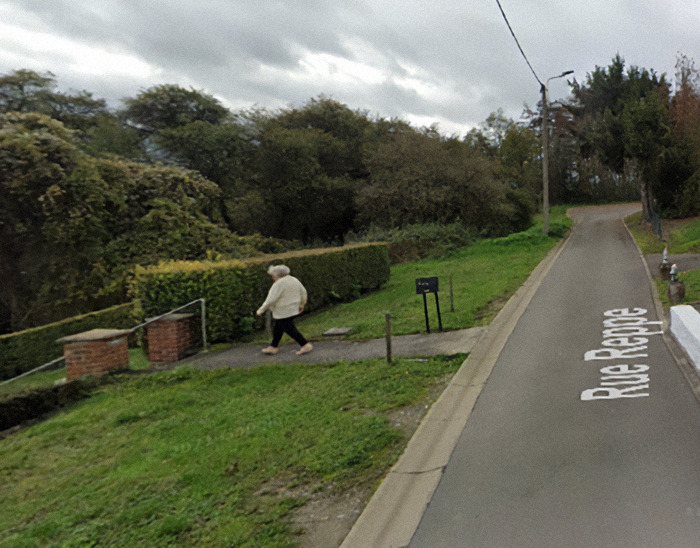 Paulette Landrieux walks on a rural path captured by Google Maps, lush greenery surrounds the pathway under a cloudy sky.