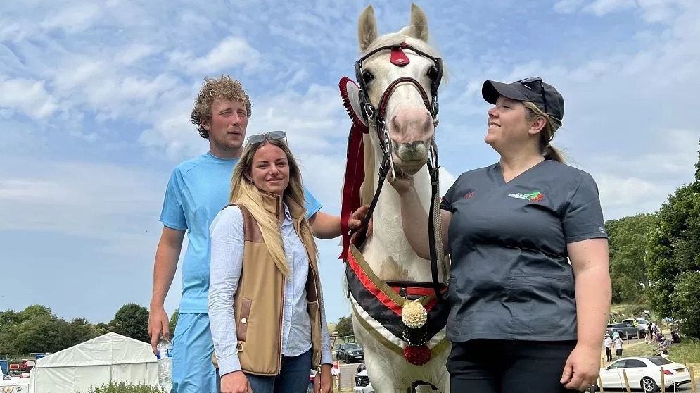 Redwings Joins Fellow Animal Welfare Charities At Appleby Horse Fair