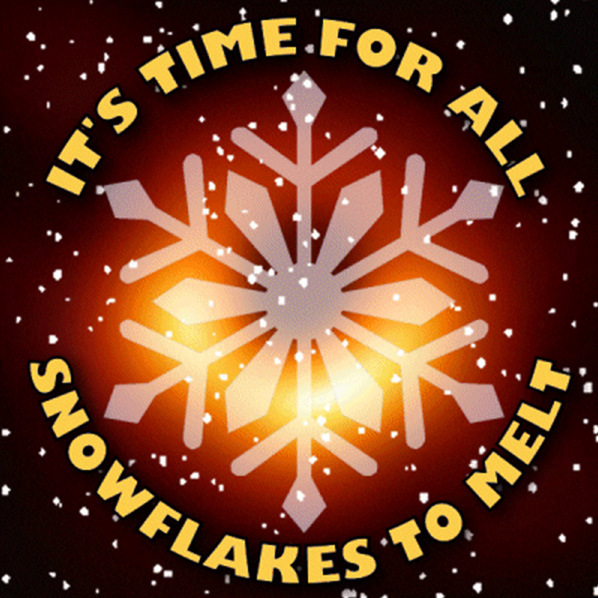 Snowflake-67759b7253161.jpg