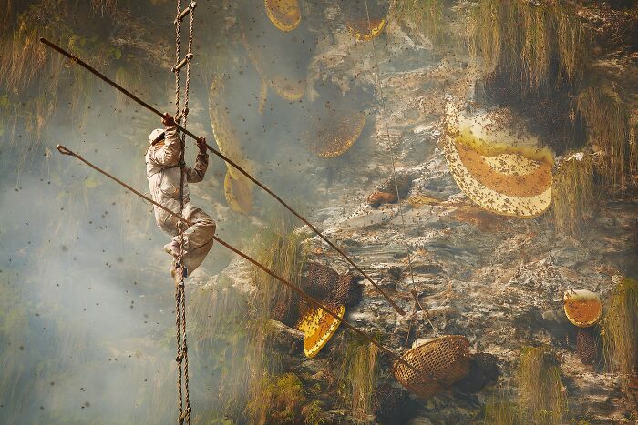 Photographer Of The Year - Travel: Honey Hunters Of Nepal By Andrew Newey