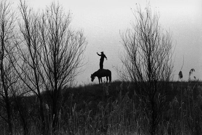 Photographer Of The Year - Film/Analog: The Don Steppe By Misha Maslennikov