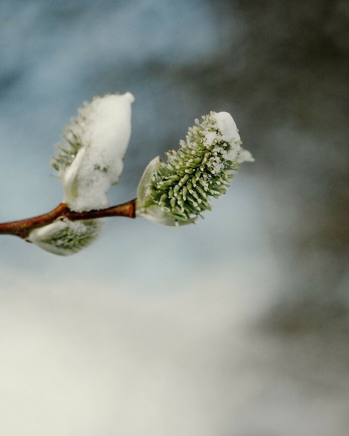 Through The Lens Of Alina Trifan: Turning The Ordinary Into Dreamscapes