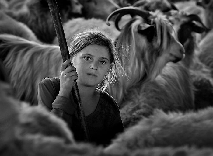 Young girl holding a stick among goats, showcasing resilience and beauty in everyday life.