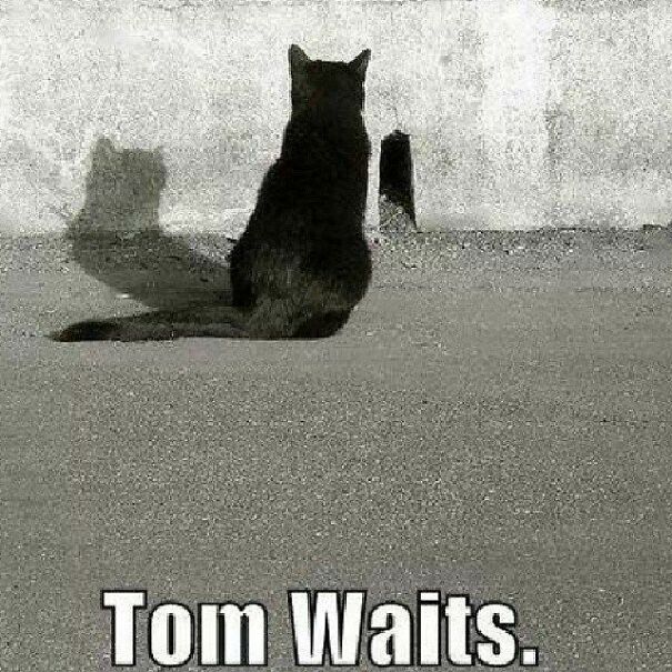 Tom-Waits-6788c8e371013.jpg