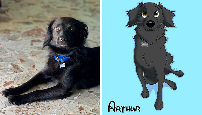 Real dog next to its Disney-style illustration, wearing a blue collar.