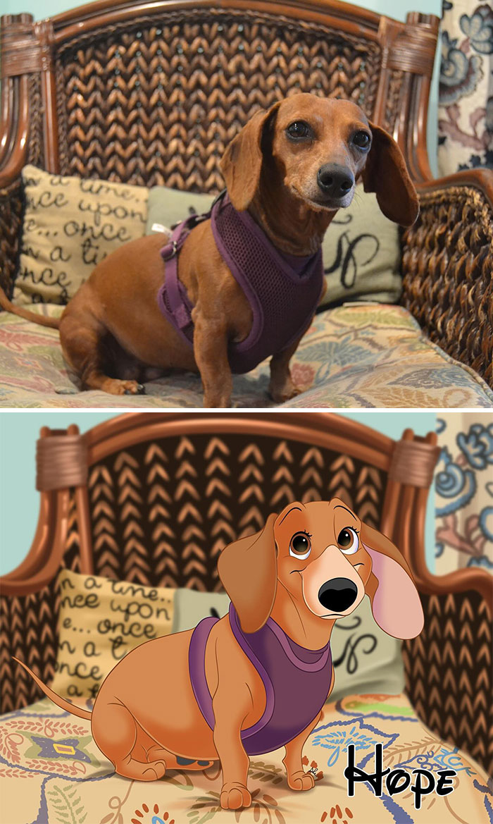 Dachshund on a couch transformed into a Disney-style cartoon character, illustrating pets as Disney stars.