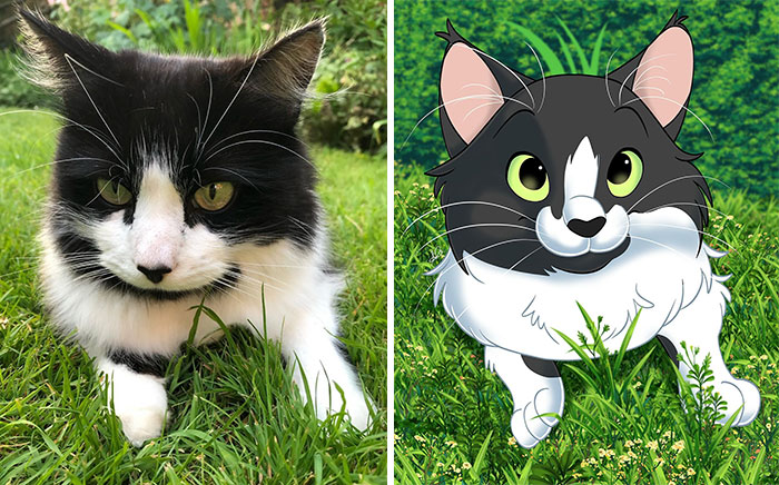 Black and white cat transformed into a Disney-style character, lying on the grass.