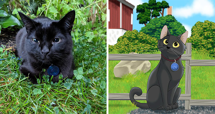 Black cat turned into Disney-style animation, sitting on grass with a tag, next to a cartoon version by a wooden fence.