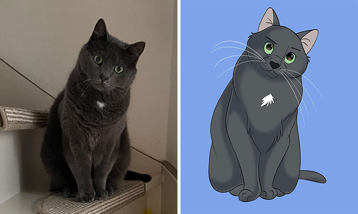 Gray cat on stairs transformed into a Disney-style cartoon character with green eyes and a white chest patch.