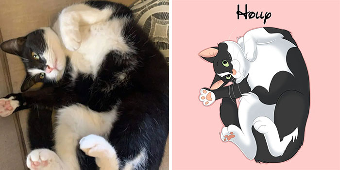 Cat transformed into a Disney-style character, showcasing creative pet illustration.