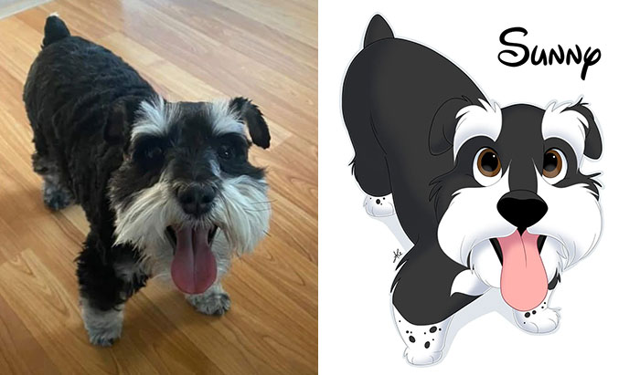 A dog turning into a Disney-style cartoon character named Sunny.