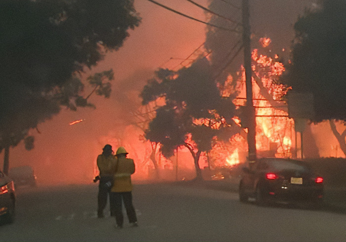 "Narcissist": Anchor Criticized For Pinning Jacket To "Look More Buff" During LA Fire Report