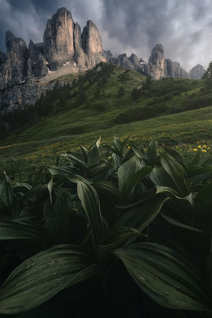 Mountain landscape with dramatic clouds and lush greenery, featuring a winning photo from The Artist Gallery Awards.