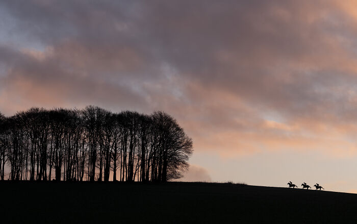 Silhouettes of horse riders against a sunset, showcasing winning sports photography.