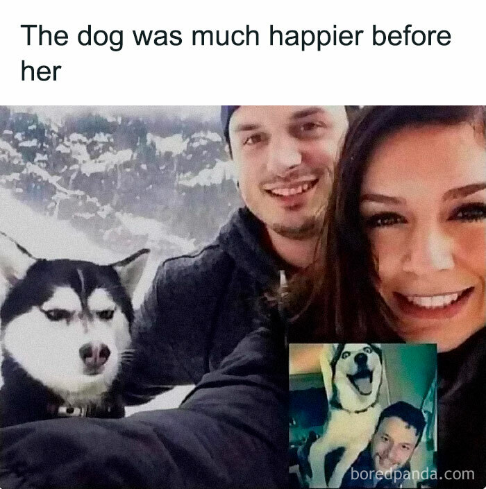 Smiling couple with a grumpy husky, contrasting an earlier photo of a happy dog, featuring wholesome and funny animal antics.