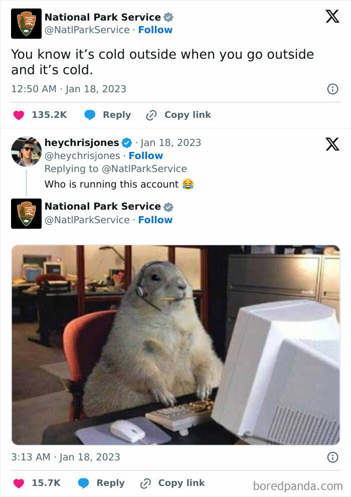 Wholesome animal meme featuring a groundhog at a computer, humorously responding to a tweet about cold weather.