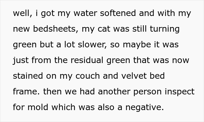 Text about water softening and green stains on a couch and velvet bed frame, mentioning mold inspection.