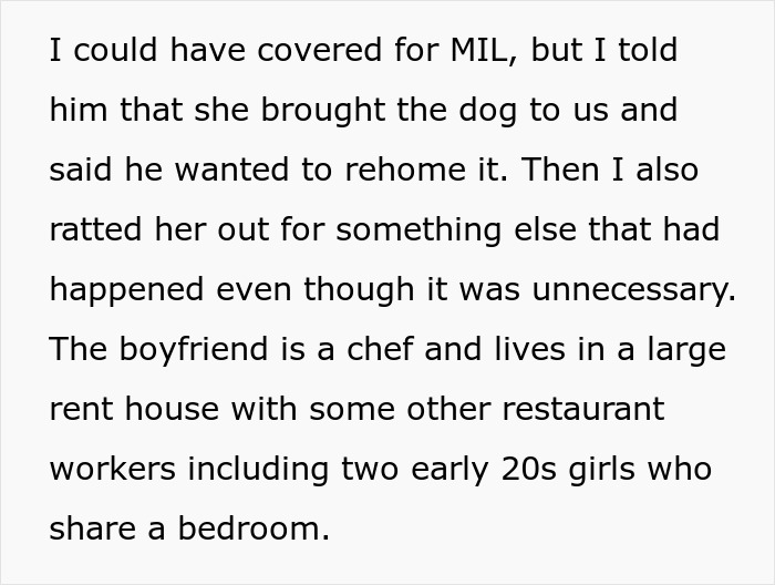 "Poor Dog Was Depressed The Whole Time": MIL Lies About Her BF's Dog Needing To Be Rehomed