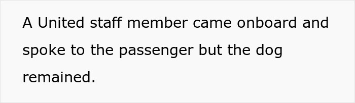 Text from a plane discussing a service dog and a passenger interaction.