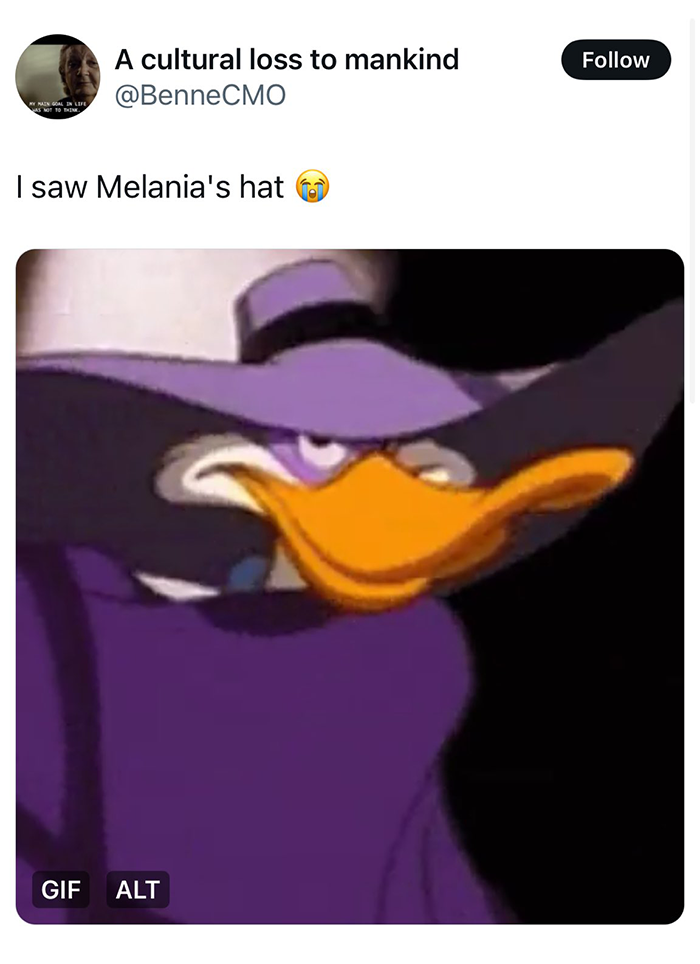 Cartoon duck in a purple hat, used to humorously compare to Melania Trump's inauguration outfit.