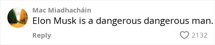 Comment stating "Elon Musk is a dangerous man" with 2132 likes.