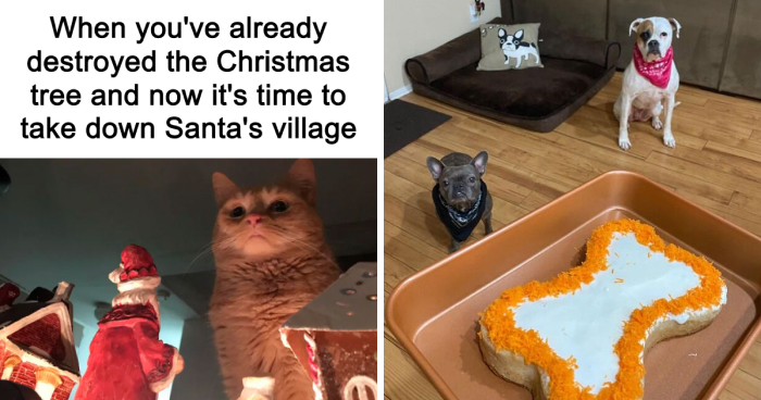 22 Paw-fect Gifts For Pets And Their Obsessed Humans