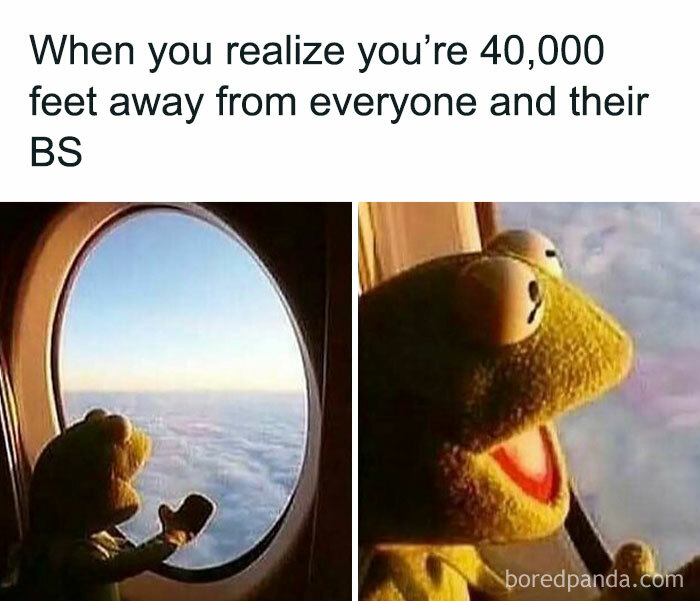 Kermit the Frog enjoying solitude at 40,000 feet, capturing an introvert's delight through an airplane window.