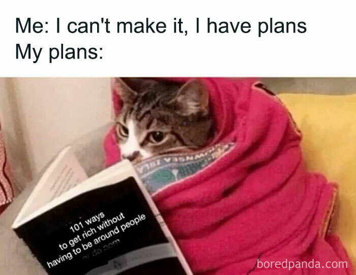 Cat wrapped in a blanket reading a book titled "101 ways to get rich without having to be around people," depicting introvert humor.