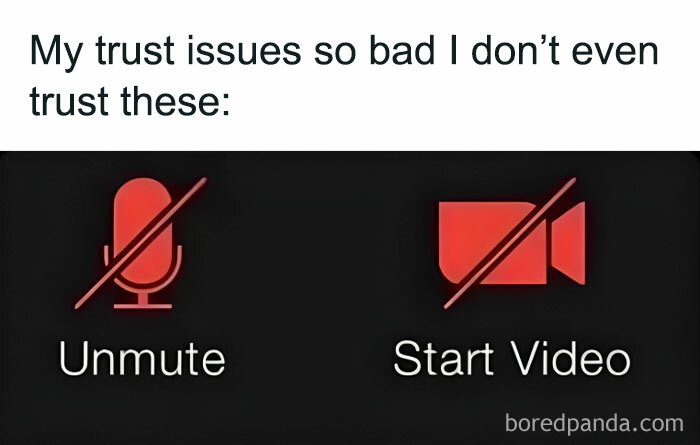 Muted microphone and video icons with caption about trust issues, highlighting introvert meme humor.