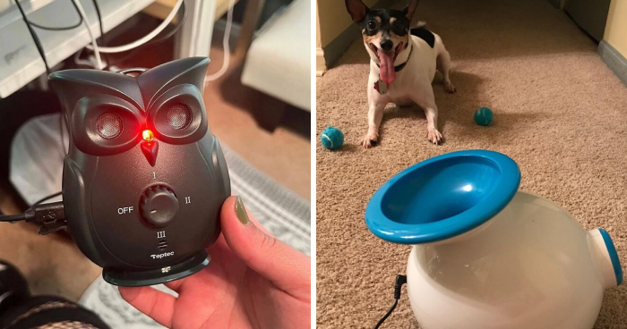 25 Genius Pet Gadgets That'll Make Other Pet Parents Jealous