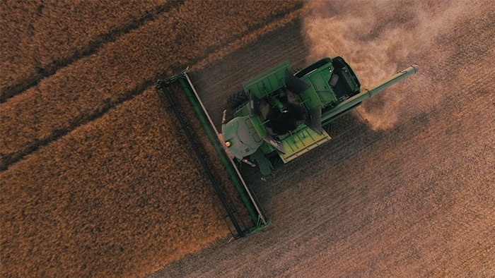 Aerial view of a green harvester working in a vast wheat field, illustrating financial waste.