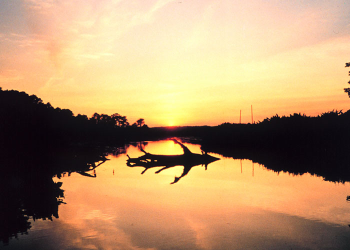 Sunset over a calm lake with tree silhouettes, evoking a sense of unsolved mysteries and intrigue.