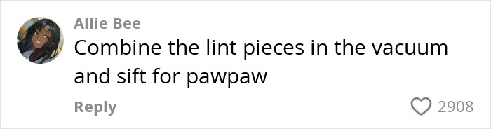 Comment suggesting to "combine lint pieces in vacuum and sift for pawpaw," related to dirt incident.