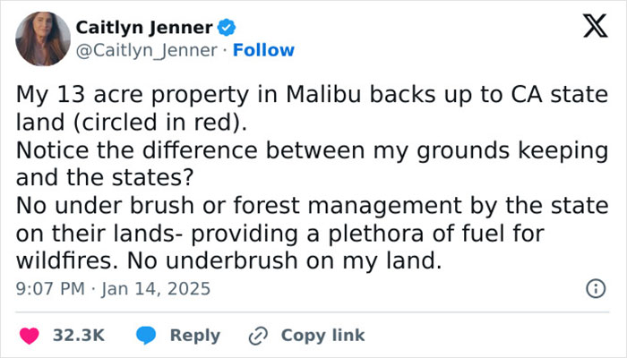 Caitlyn Jenner highlights poor forest management causing LA wildfires, comparing clear land with underbrush on state property.