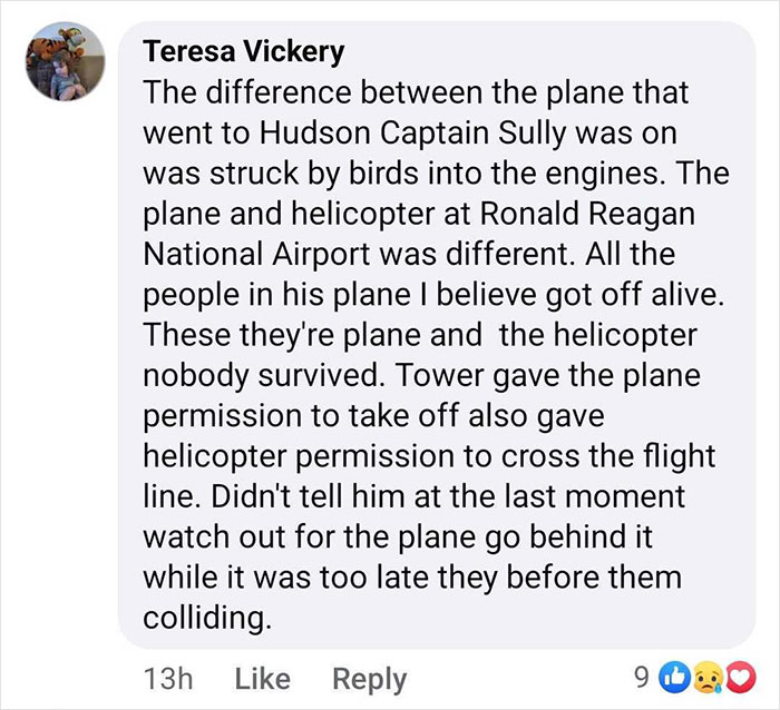 Facebook comment discussing Captain Sully's theory on the DC plane crash and ground lights visibility issue.