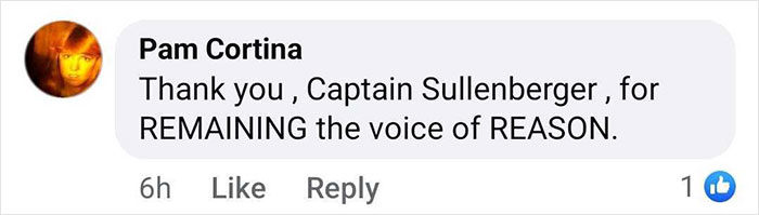 Facebook comment thanking Captain Sully for being the voice of reason, related to theory on DC plane crash.