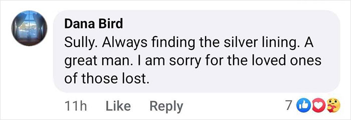 Comment on Sully's positivity and condolences for DC plane crash victims.