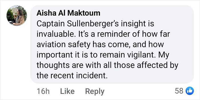 Comment appreciating Captain Sully's aviation safety insight regarding the DC plane crash.