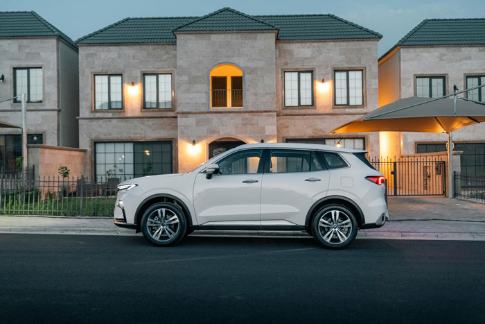 Car parked in a driveway in front of a modern house, showcasing a car-driveway-block scenario.