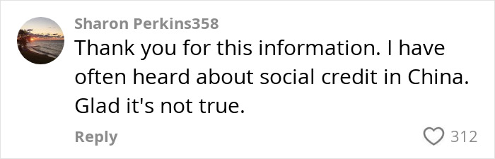 User comment on social credit in China, expressing relief it's untrue, with 312 likes. 