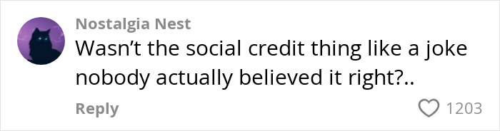 Comment discussing views on China's social credit system, with 1203 likes.