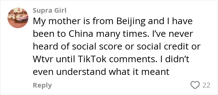 Comment discussing misconceptions about China by a Chinese-Canadian, mentioning social credit confusion on TikTok.