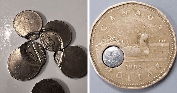 This Viral Online Thread Has 30 Coin Collectors Sharing The Gems Of All Their Collections