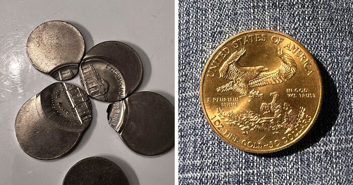 This Online Community Shares Images Of Various Collectable Coins And Here Are 30 Of Them