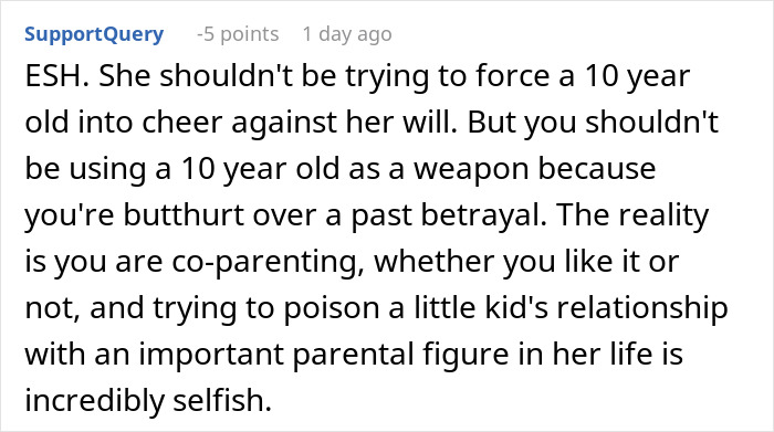 “AITA For Telling My Ex’s Sterile Affair Partner To Have Her Own Daughter?”